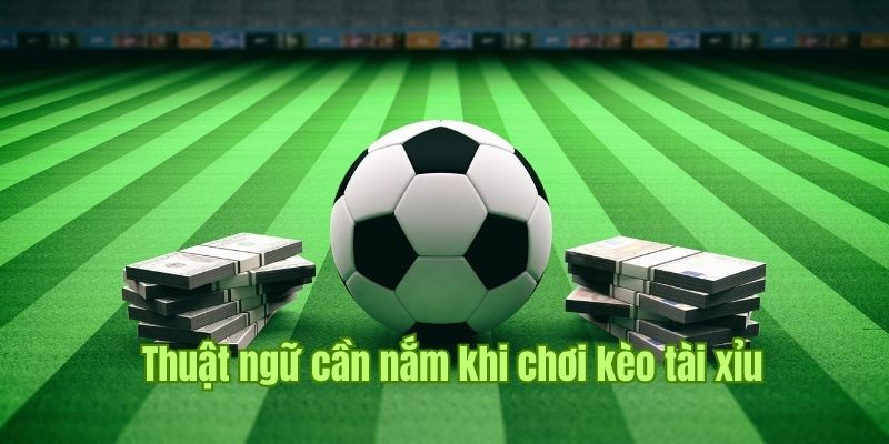 Thuật ngữ dễ hiểu nhất khi bạn lựa chọn cược Tài Xỉu 