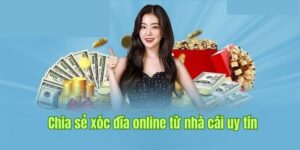 Sơ lược về nền tảng xóc đĩa online tổng hợp bởi Nhà Cái Uy Tín